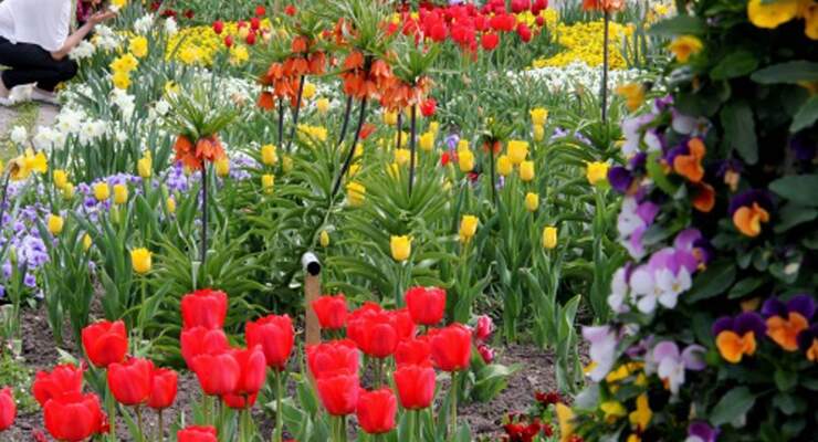 Blumen Bad Füssing