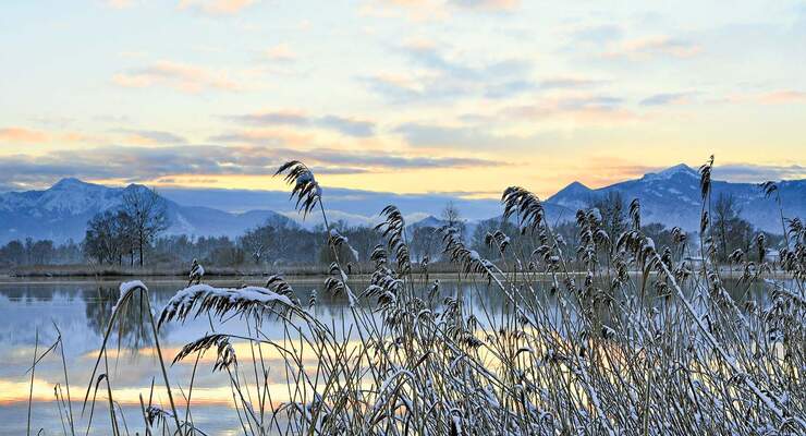 Chiemsee im Winter