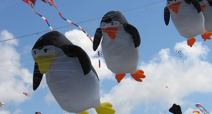 Drachenshow am Möhnsee: Spaß und Action für Jedermann.