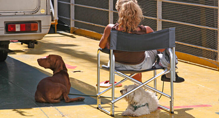 Fähre, hund, haustier,Reisemobil, wohnmobil, caravan, wohnwagen