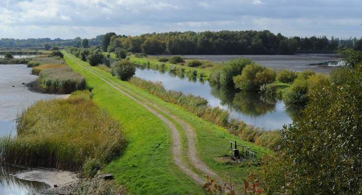 Fischteich Lewitz
