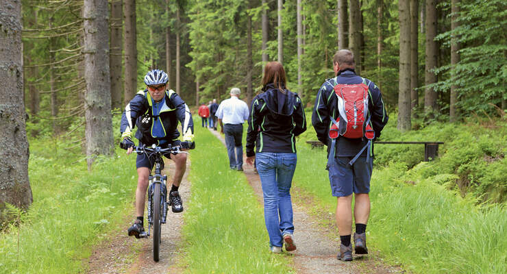 Reise-Tipp: Böhmerwald