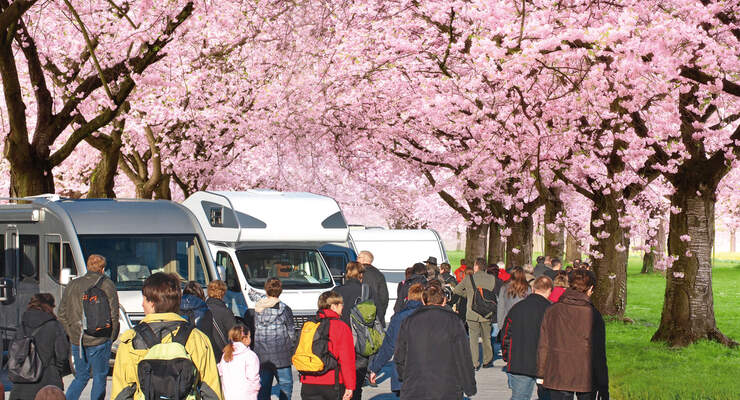 Report: Frühjahrs-Neuheiten