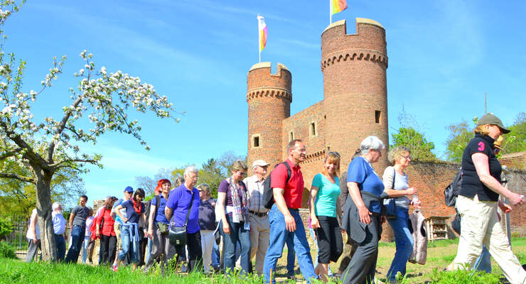 Weiertor Streuobstwiese